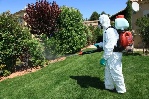 Denton, Texas Mosquitoes Control Expert